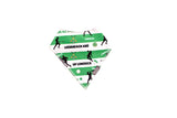 Limerick Bib