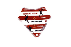 Galway Bib