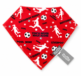 Liverpool Bibs