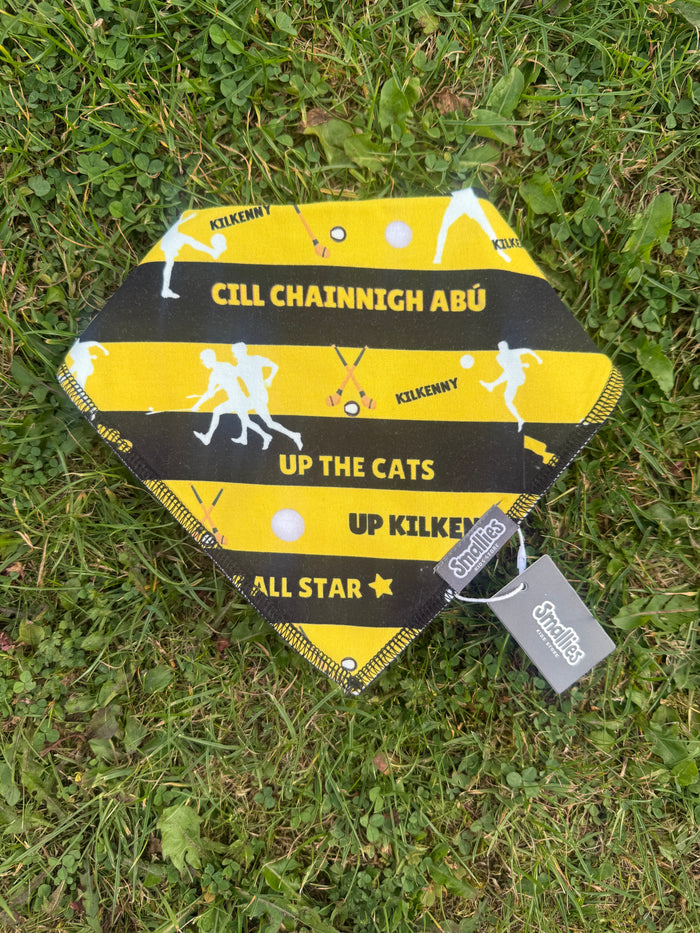 Kilkenny Bib