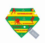 Carlow Bib