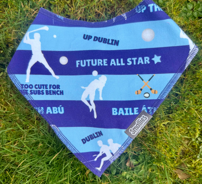 Dublin Bib